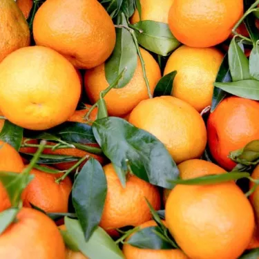 sweet-clementine
