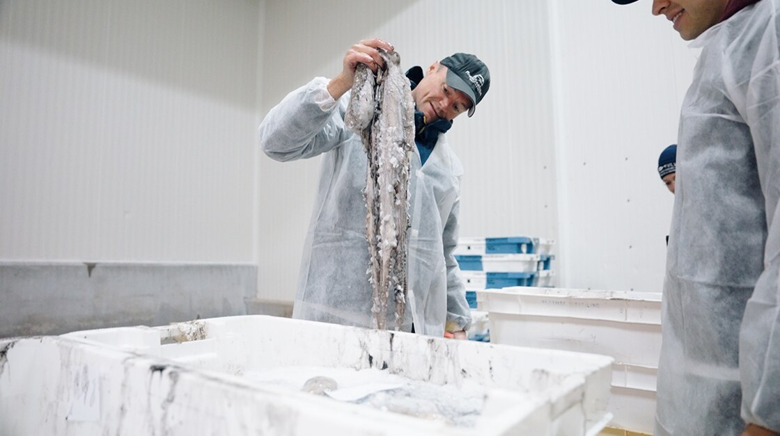 SPYCA 2025 PORTRAIT CHEFS CEDRIC 11