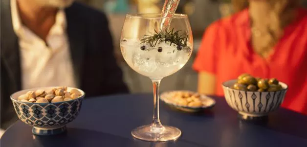 Sanpellegrino Mixers Tonica Oakwood 20 cl glass