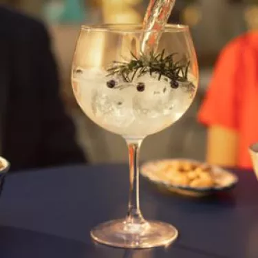 Sanpellegrino Mixers Tonica Oakwood 20 cl glass