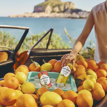 sanpellegrino intl blood orange lemonade zero car grid system core