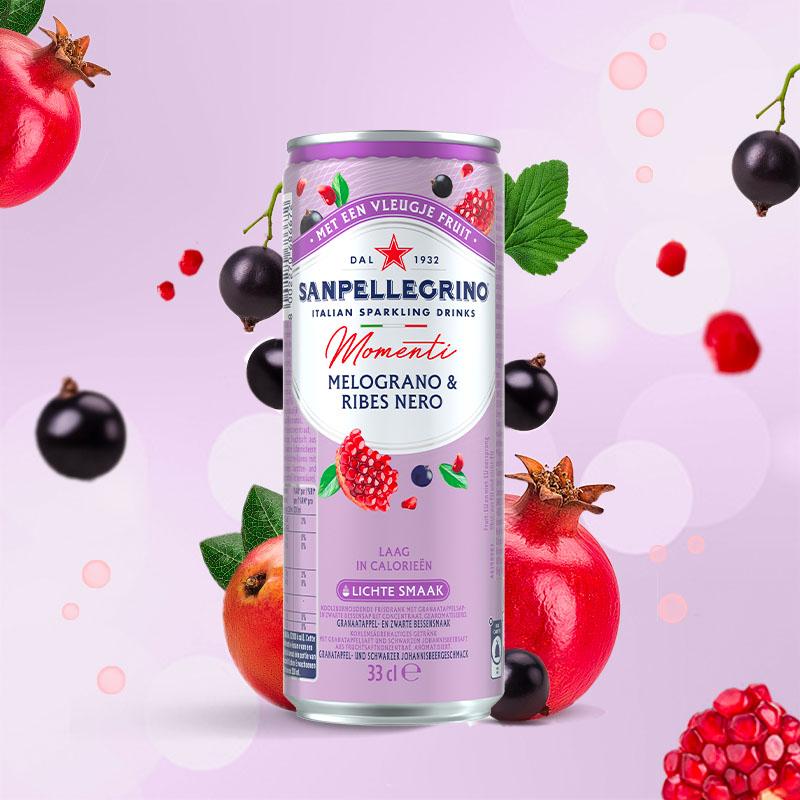 momenti melograno ribes nero can 330 ml main image be nl