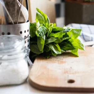 Basil_4