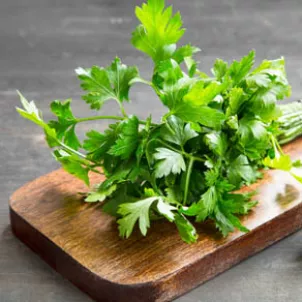 INGREDIENTI_Prezzemolo_iStock_71931785_LARGE_4