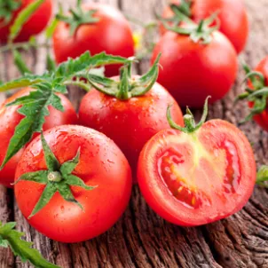 Tomatoes_4