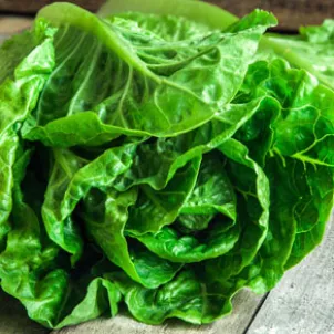 green%2520salad%2520PORCHETTA_4