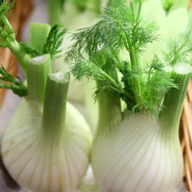 fennel_Giardiniera