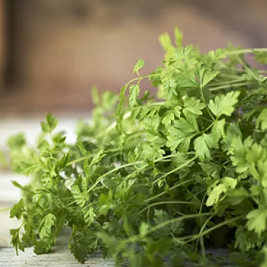 prezzemolo_polpette_ingredienti