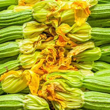 zucchini_stuffed_calamari_6