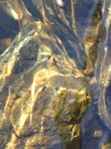 water-source-sanpellegrino_1