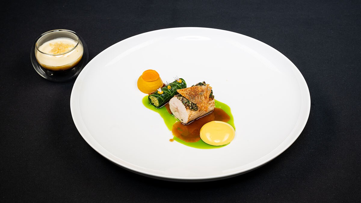 spyca_regional_final_gallery