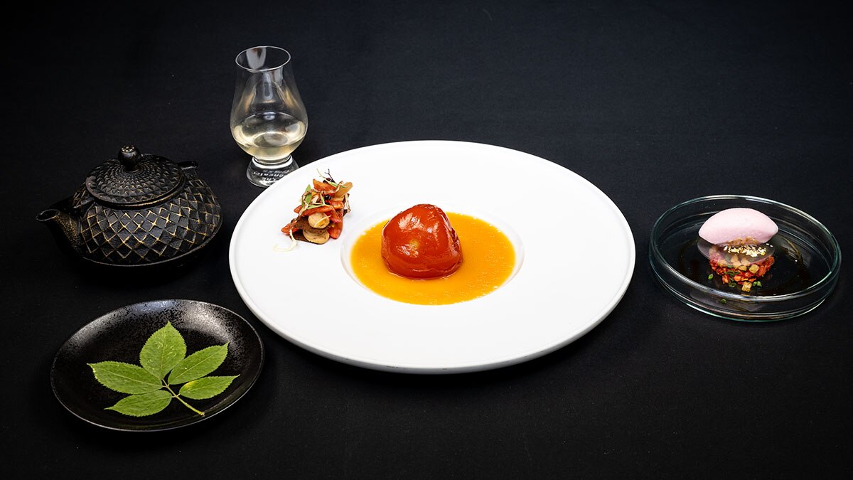 spyca_regional_final_gallery