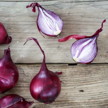 Red%2520onions_4