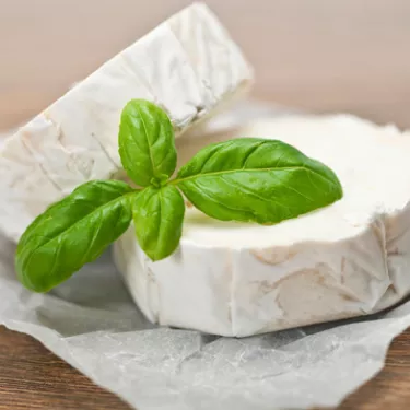 goat%2520cheese_4