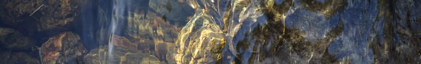 respecting-the-water-desktop