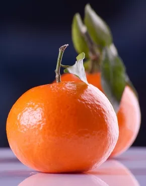 clementinen_0