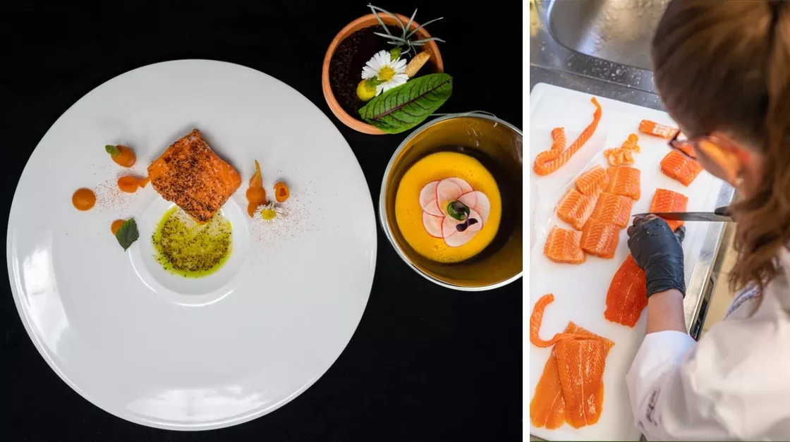 sanpellegrino-young-chef-regionaler-vorentscheid-2019-zentraleuropa-jana-stoeger-dish