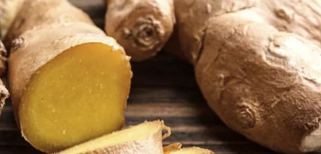 ginger-roots-origin
