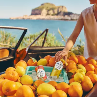 ISD_Box 1_campaign Page