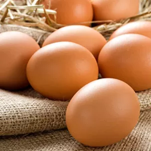 ARANCINO_EGGS_15