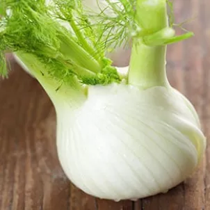 ORANGE_SALAD_FENNEL_4