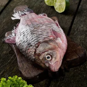 fish_4