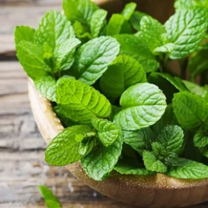 mint_carciofi_alla_romana_4