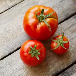 red%2520tomatoes.jpg_4