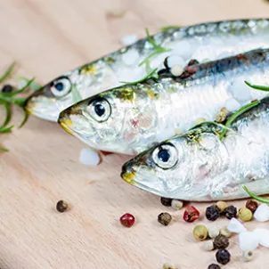 sardines_4