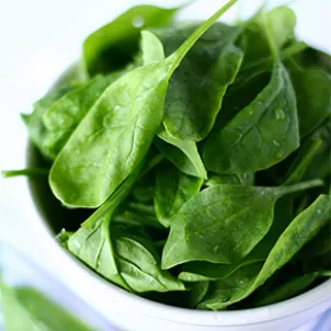 spinach_Italian_spinach_pie