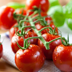 tomatoes_Muffuletta_sandwich