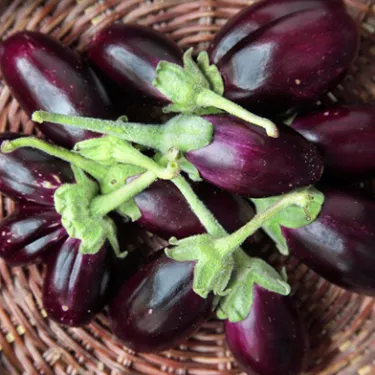 aubergine_4