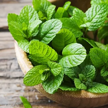 mint_carciofi_alla_romana_4