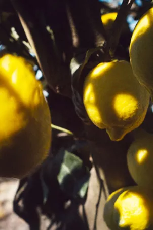 life-deliziosa-sanpellegrino-pills-7