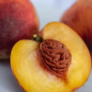 grid_momenti_clementina_2