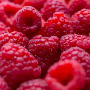 grid_momenti_limone_2