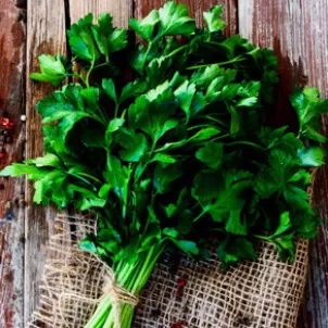 Parsley_14