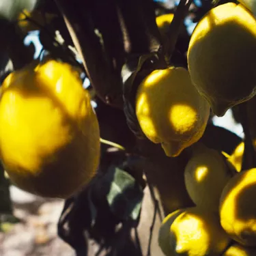 life-deliziosa-sanpellegrino-pills-7