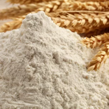 gnocco%2520flour_4