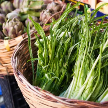 puntarelle_8