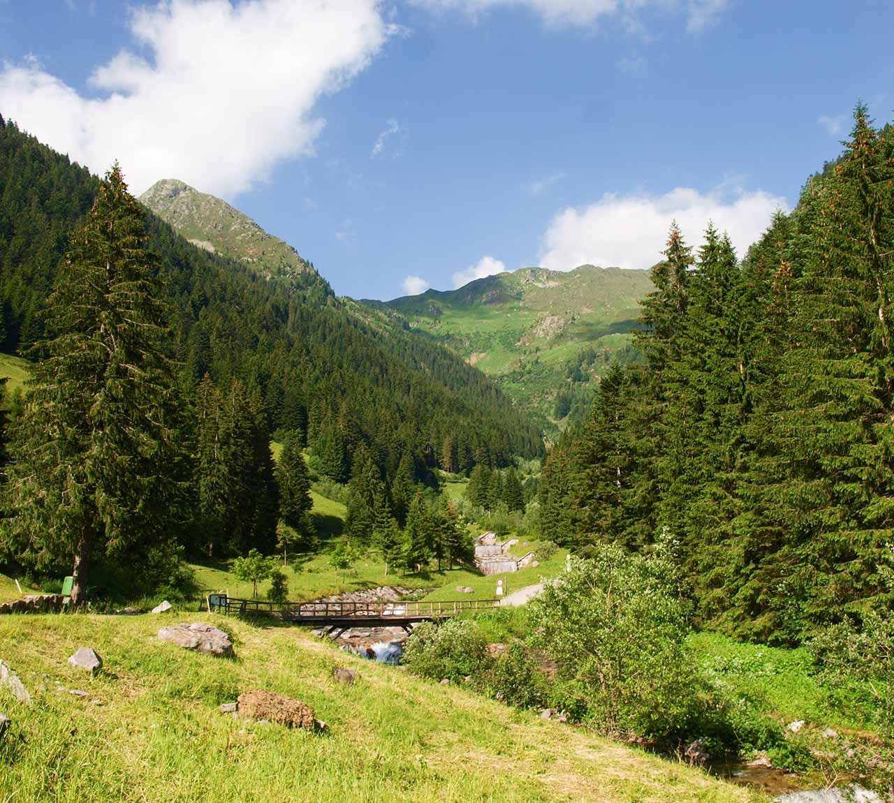 Mountains
