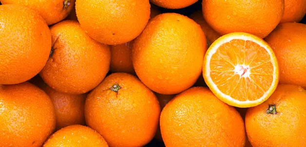 Mood_Image_Mixers Tonica Citrus_02