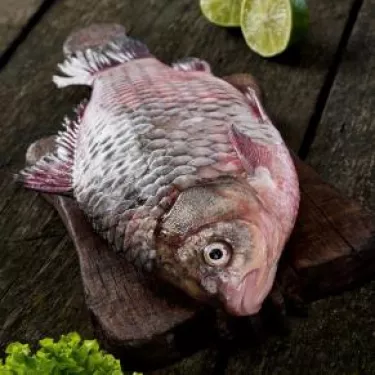 pesce-fresco-ricetta-cous-cous-trapanese.jpeg