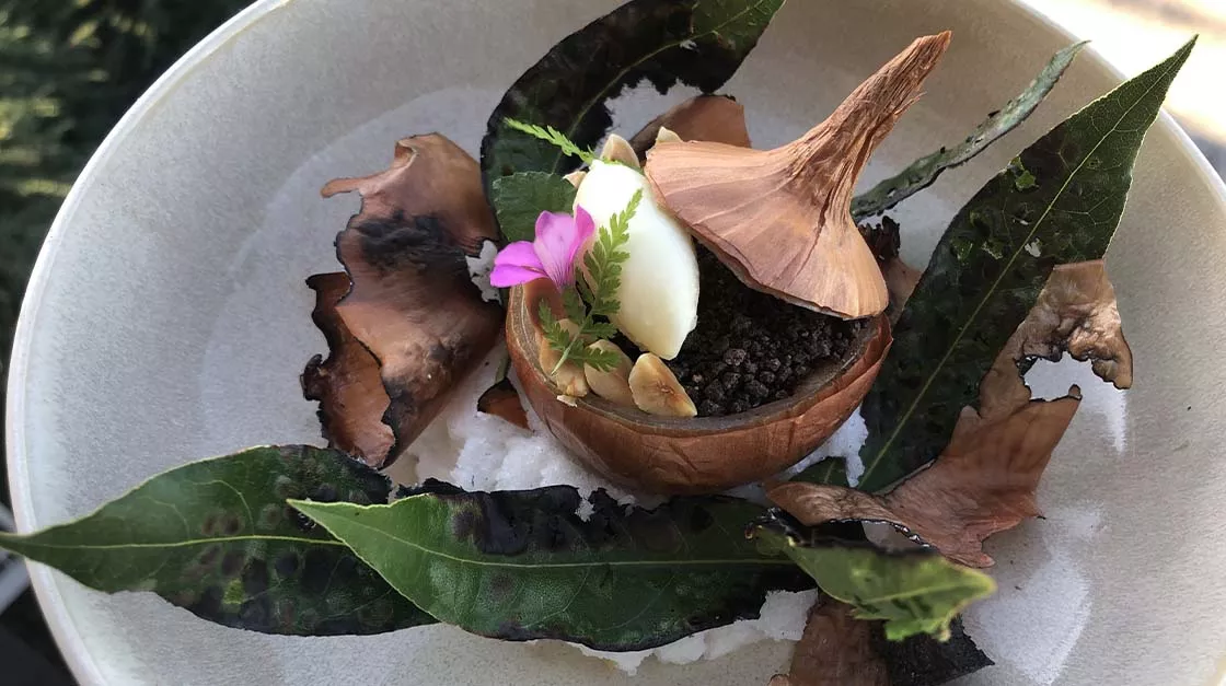 Davide Marzullo - Cipolla farcita di genovese con crumble al cacao e mousse al parmigiano reggiano