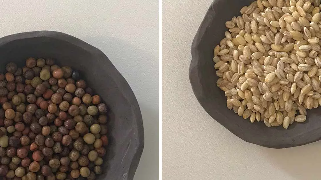 Mettere a bagno la sera prima l'orzo perlato