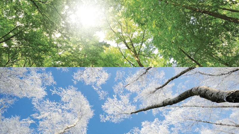 June Summertime Wintertime