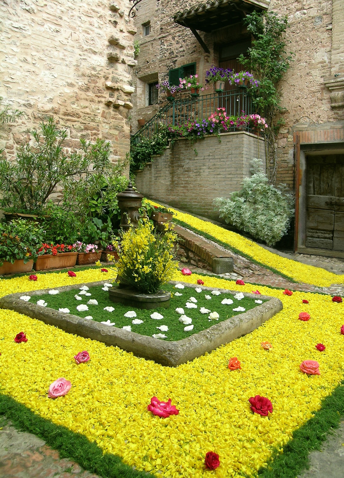 Flower Carpets Celebration