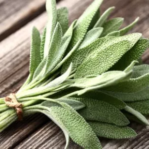 Sage