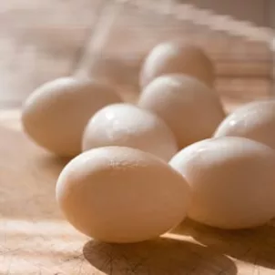 Eggs