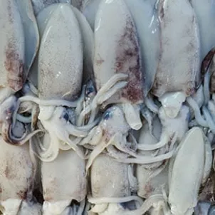 Stuffed squid, or ‘calamari ripieni’ in Italian